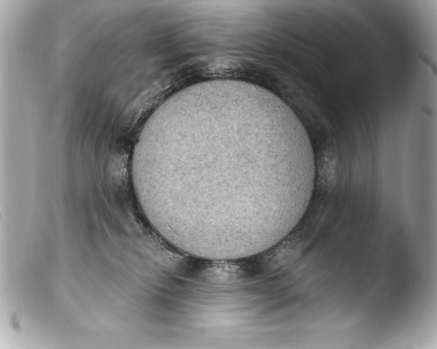 X0000103950278200810031353