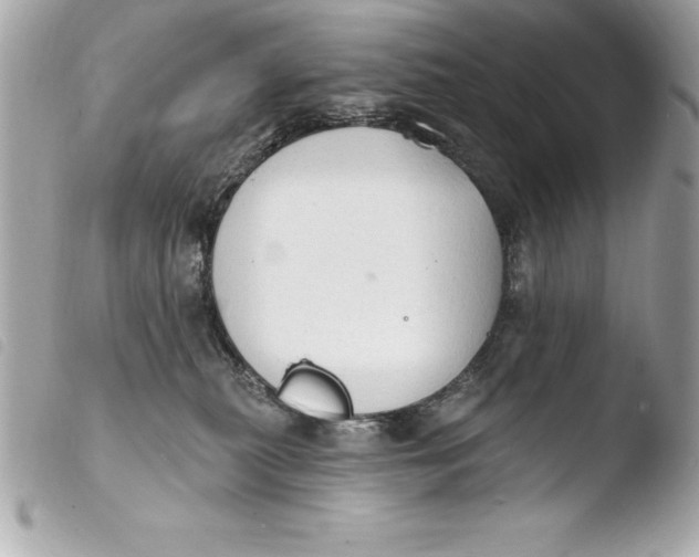 X0000103950279200810031353