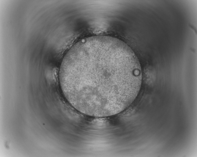 X0000103950280200810031353