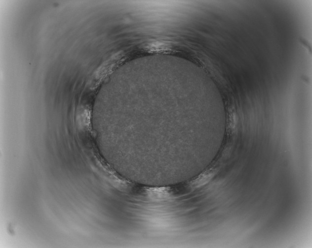 X0000103950281200810031353