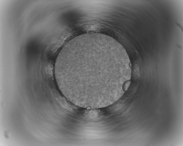 X0000103950282200810031353