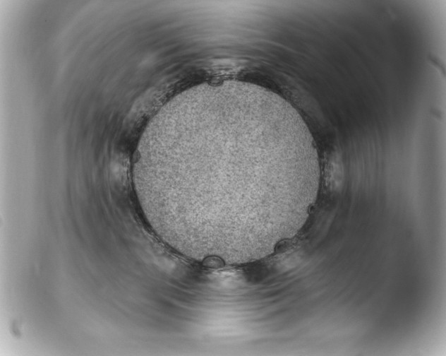 X0000103950283200810031353