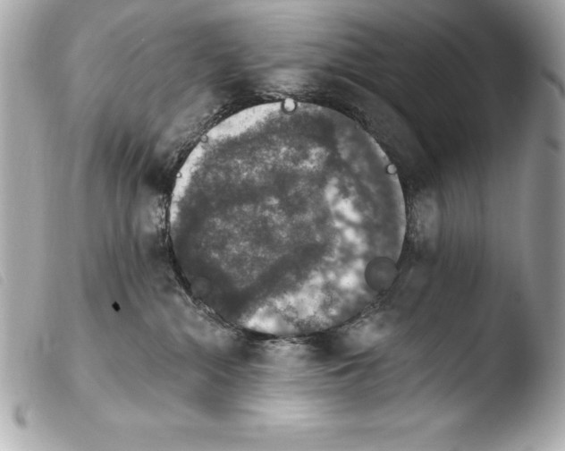 X0000103950284200810031353