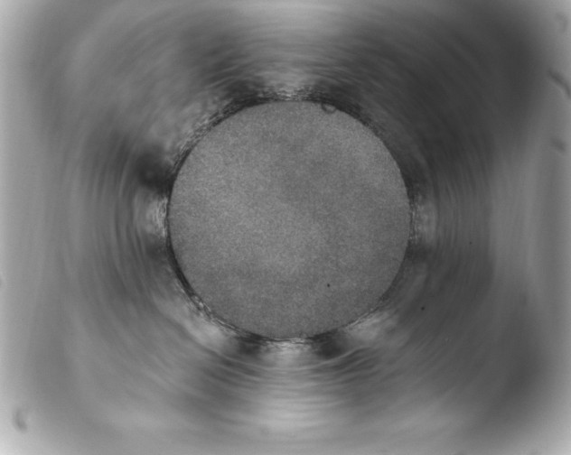 X0000103950286200810031353