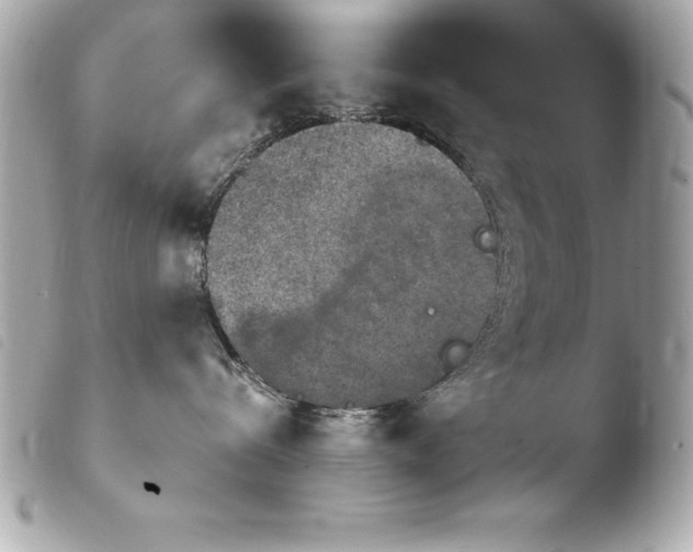 X0000103950288200810031353