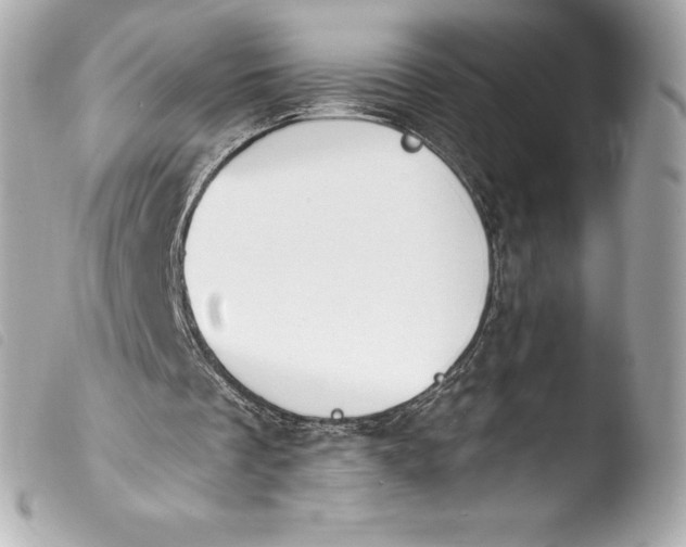 X0000103950289200810031352