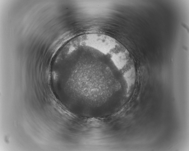 X0000103950290200810031352