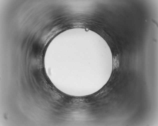 X0000103950291200810031352