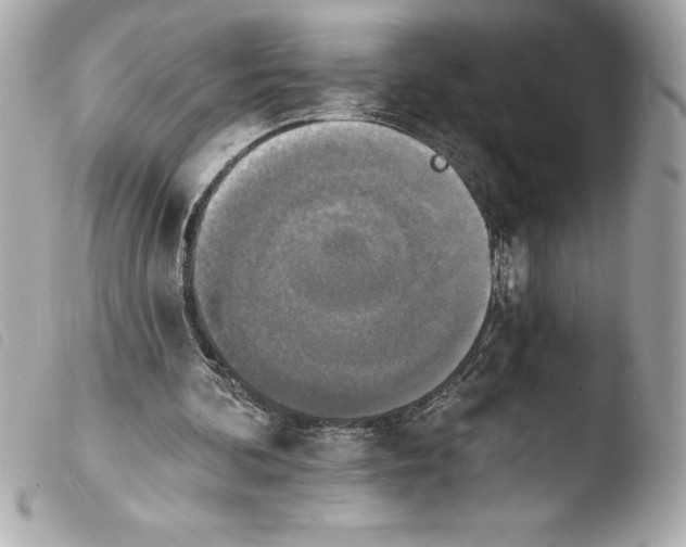 X0000103950292200810031352