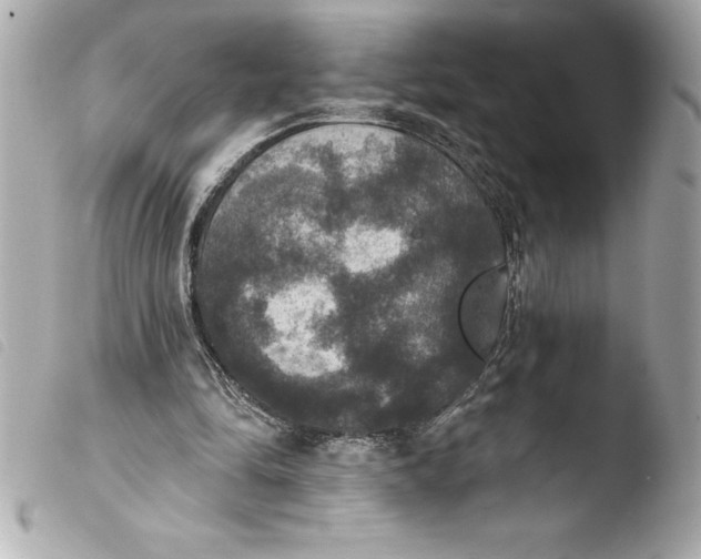 X0000103950294200810031352