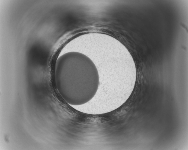 X0000103950295200810031352