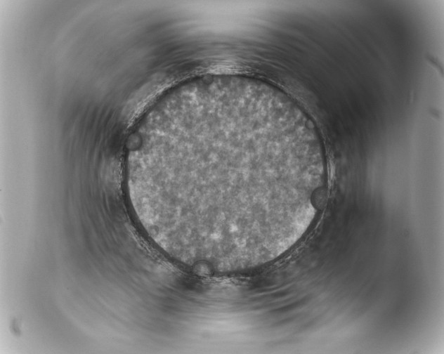 X0000103950297200810031352