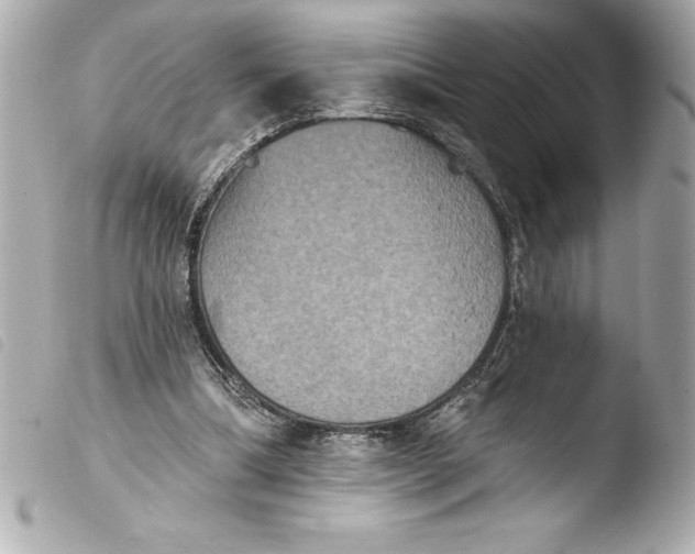 X0000103950298200810031352