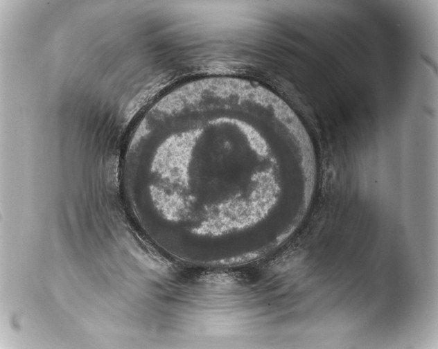 X0000103950299200810031352