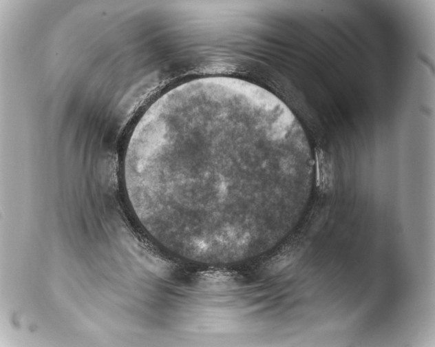 X0000103950300200810031352