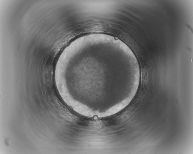 X0000103950301200810031352