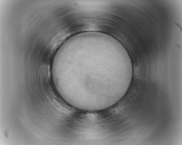 X0000103950302200810031352