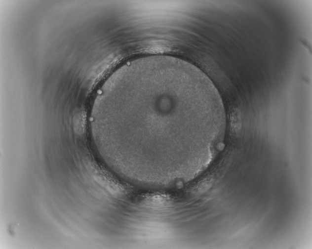 X0000103950304200810031352