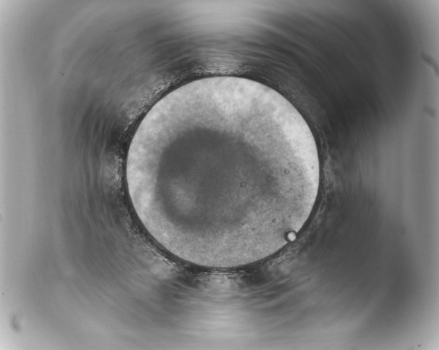 X0000103950305200810031352