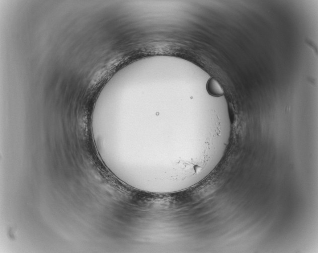 X0000103950306200810031352