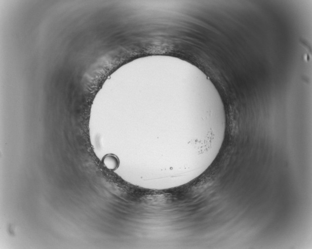 X0000103950307200810031352