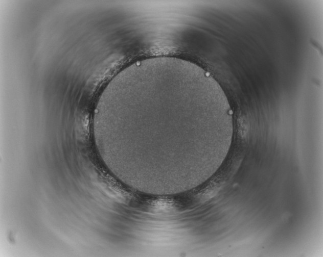 X0000103950308200810031352