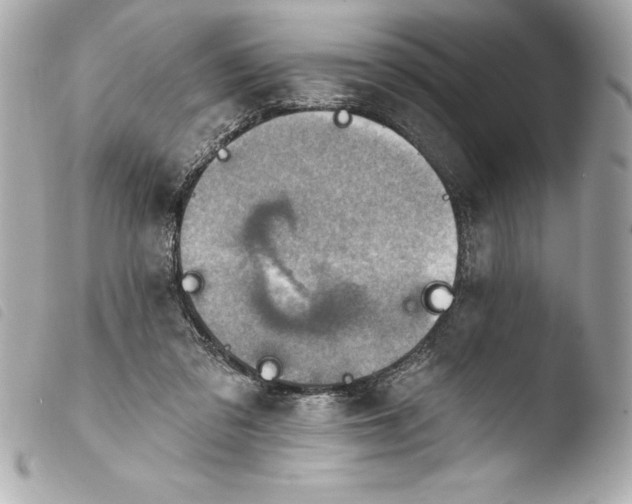 X0000103950309200810031352