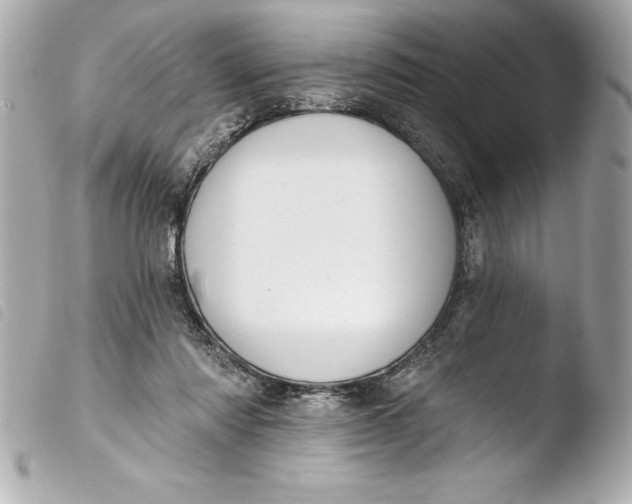 X0000103950310200810031352