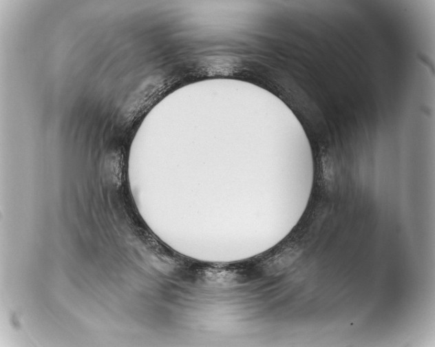 X0000103950311200810031352