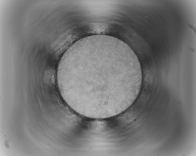 X0000103950313200810031352