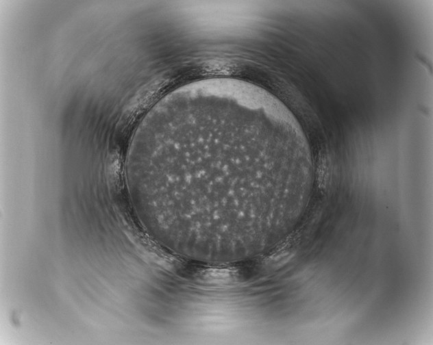 X0000103950314200810031352