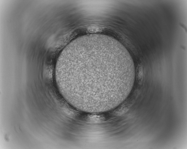 X0000103950315200810031352