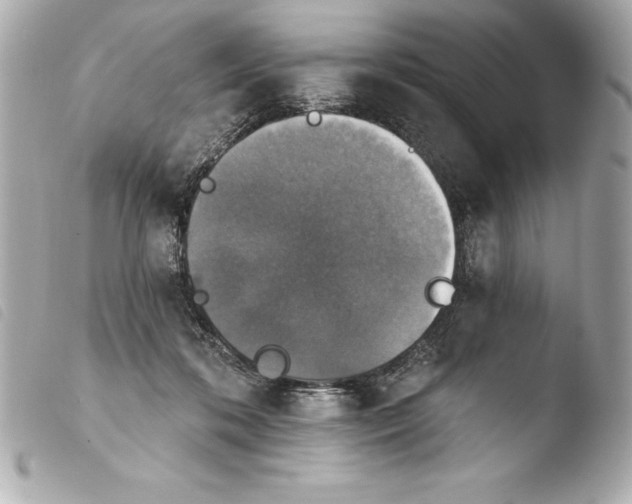 X0000103950316200810031352