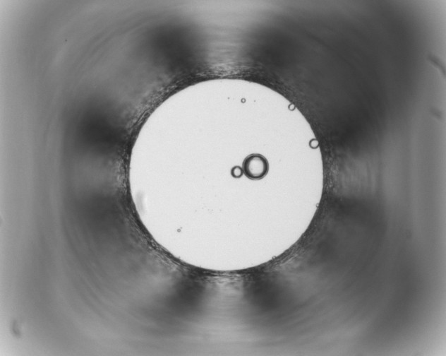 X0000103950317200810031352