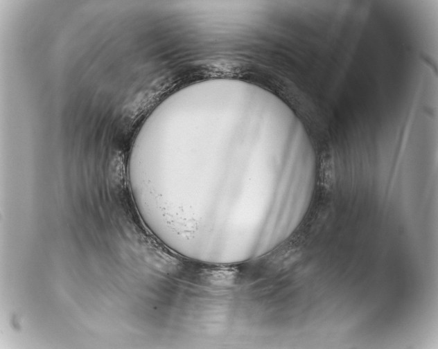 X0000103950318200810031352