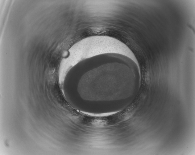 X0000103950319200810031352