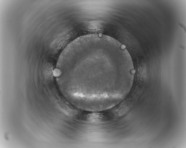 X0000103950320200810031352