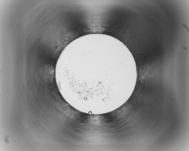 X0000103950321200810031352