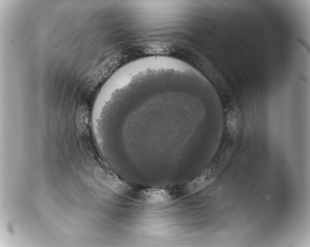 X0000103950322200810031352