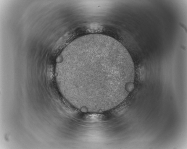 X0000103950323200810031352