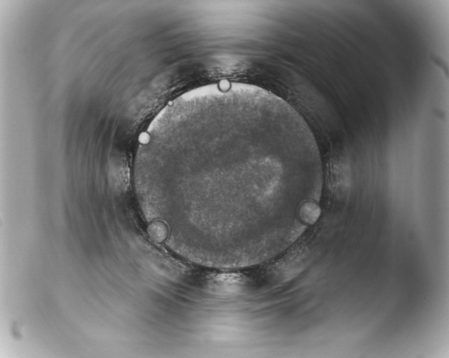 X0000103950324200810031352