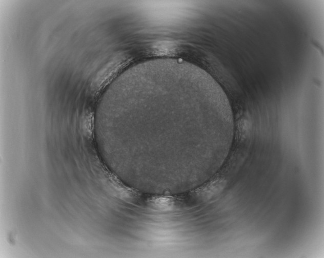 X0000103950325200810031352