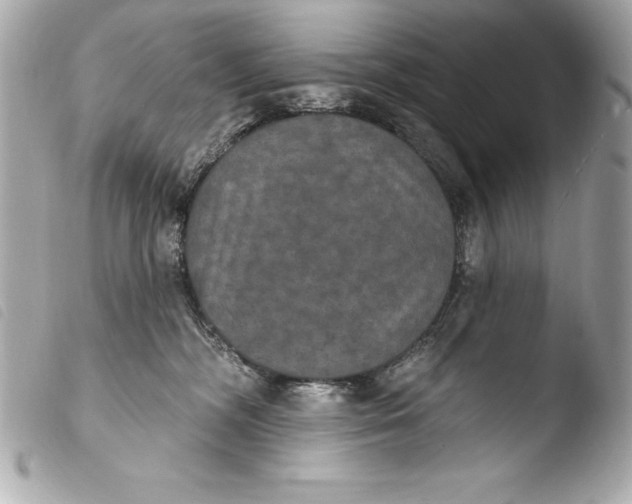 X0000103950326200810031352