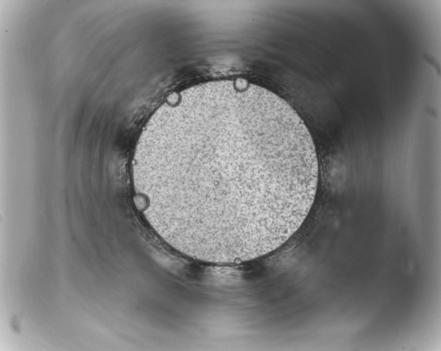 X0000103950327200810031352