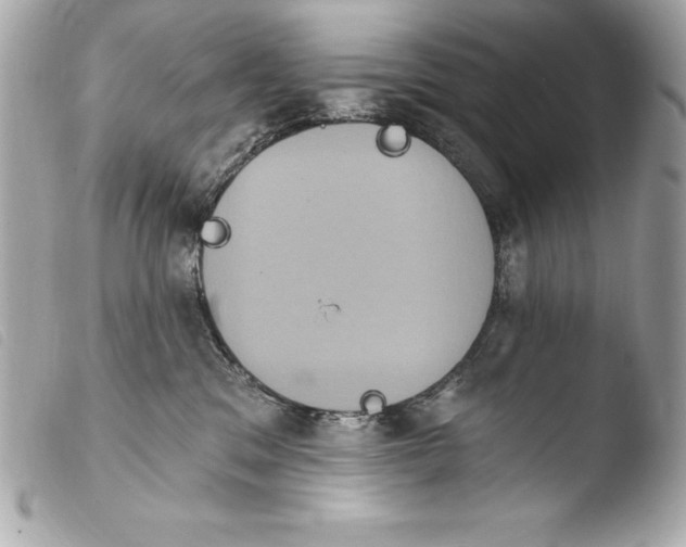 X0000103950329200810031352