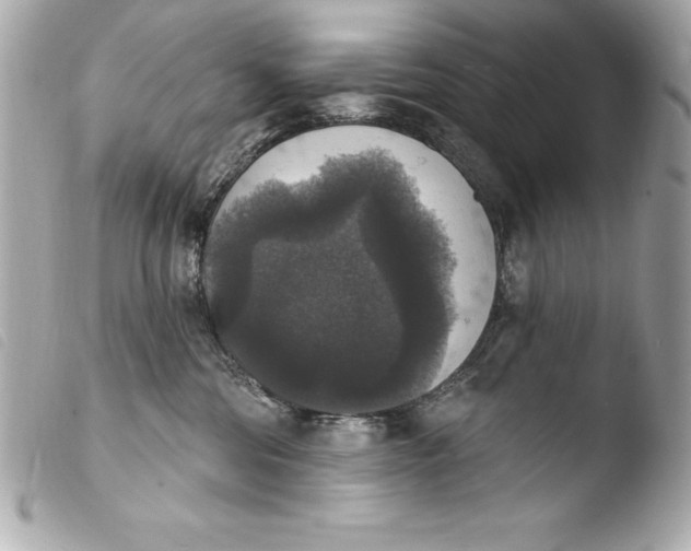 X0000103950330200810031351