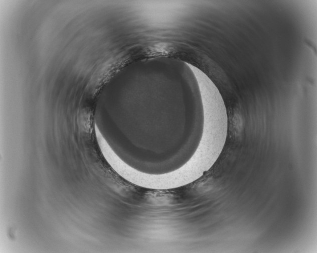 X0000103950331200810031351