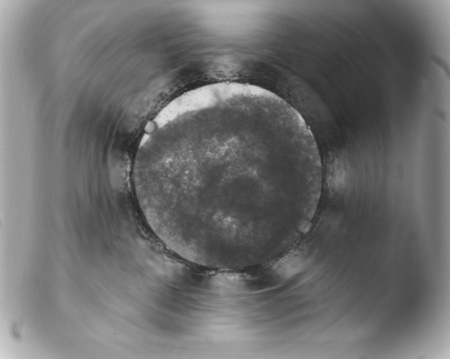 X0000103950332200810031351