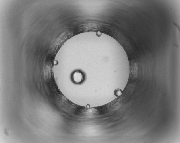 X0000103950333200810031351