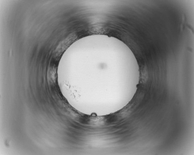 X0000103950334200810031351